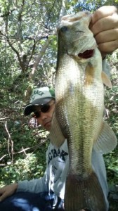 o0360064013790517779