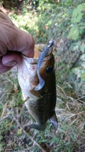 o0360064013790517785