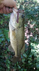 o0360064013790517799