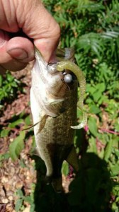 o0360064013790517802