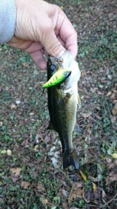 o0360064013790517810