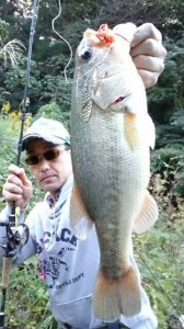 o0360064013793698540