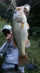 o0360064013793698542