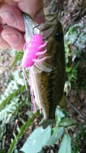 o0360064013793698861