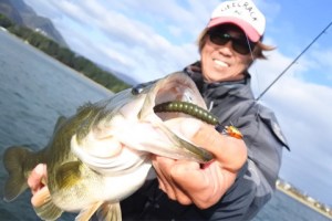 o0480032113799444053