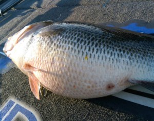 o0480038013790092607