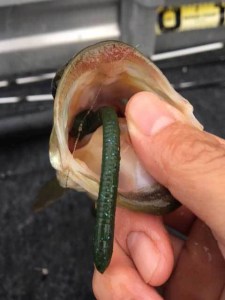 o0480064013790692887