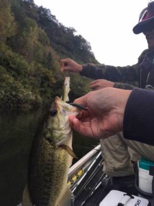 o0480064013790692898