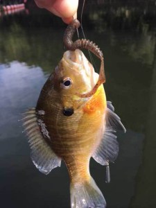 o0480064013790692956