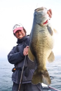 o0480071813799444012