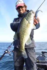 o0480071813799444090