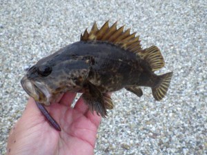 o0640048013784560790