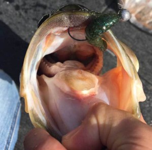 o0640063213790692965