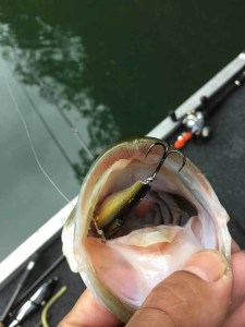 o0800106713790309077