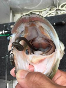 o0800106713790309083