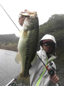 o0800106713790309090