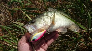 o0959053913783735010