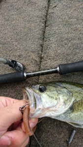 o1080192013790352270