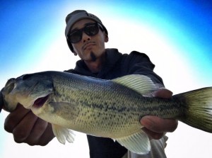 o1280095613793704784