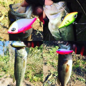 o1280128013783737157