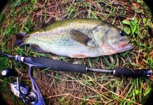 o1658113813791140764