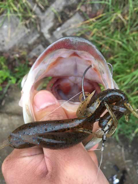 o0480064013809642493