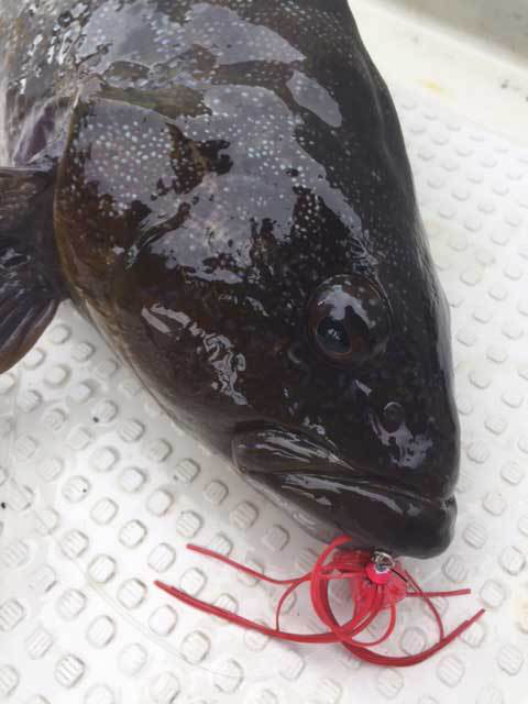 o0480064013809684321