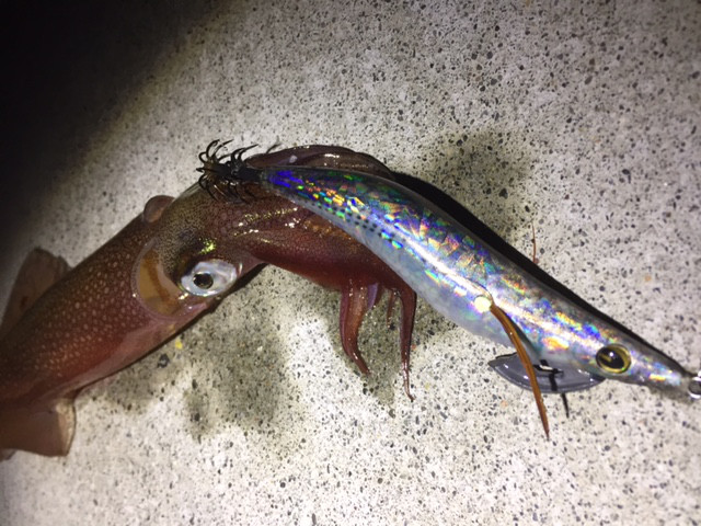 o0640048013817234400