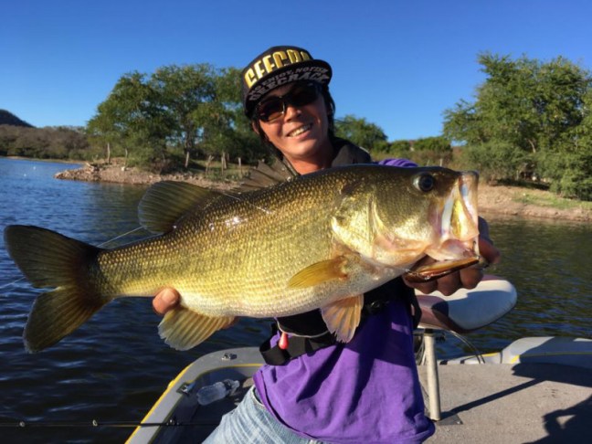 o0960072013816540359