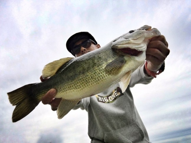 o1288096613806306881