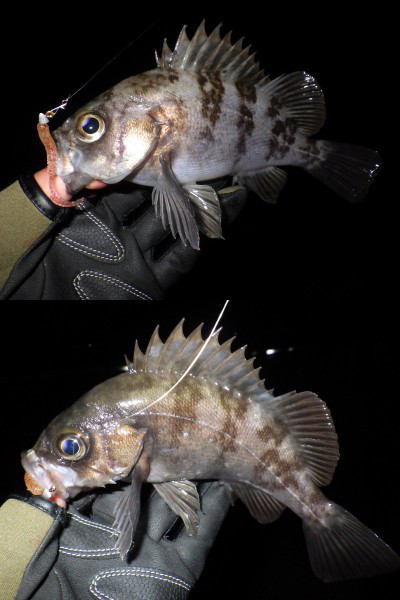 o0400060013851264208