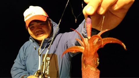 o0480027013836698910