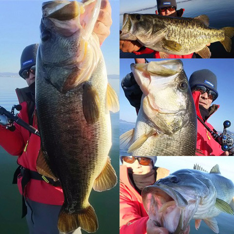 o0480048013839730939