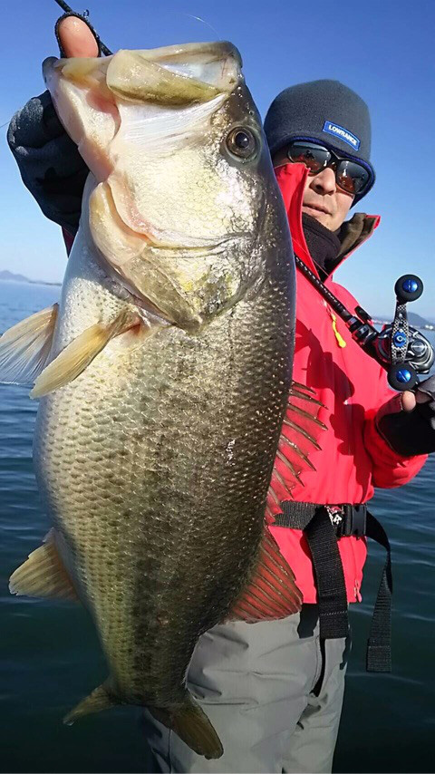 o0480085413839730946