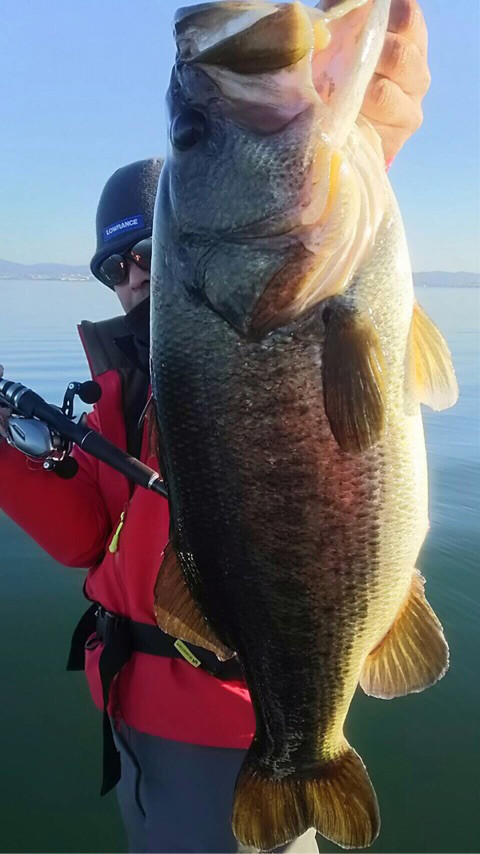 o0480085413839730950