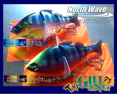 o0480038613869234055