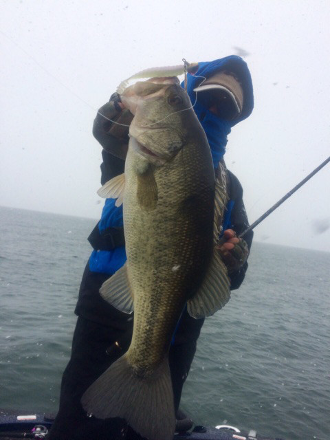 o0480064013866965715