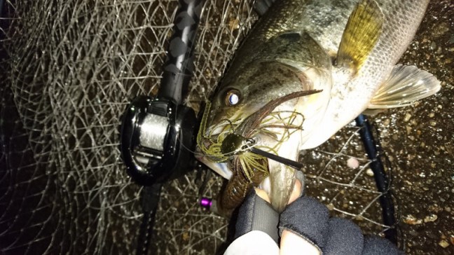 o0960054013874507229