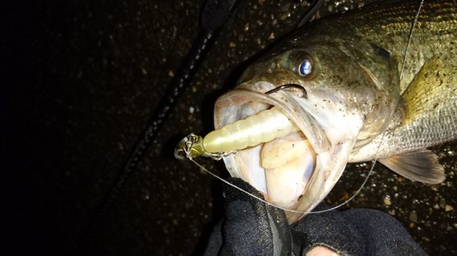 o3840216013874506343