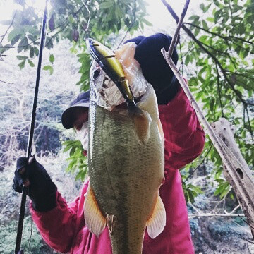 o0360036013886568549