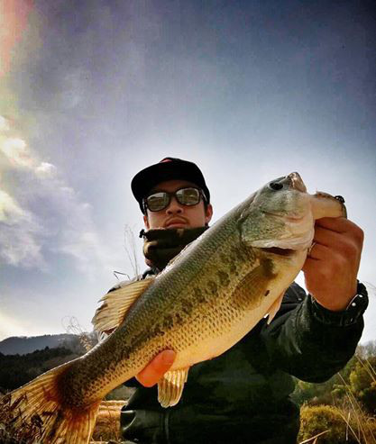 o0417049313893095668