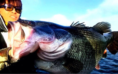 o0480030413878981490