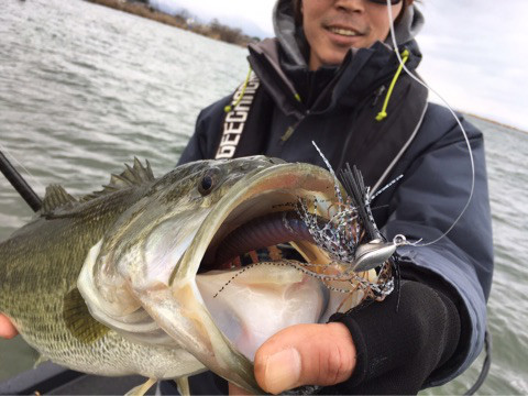 o0480036013882047267