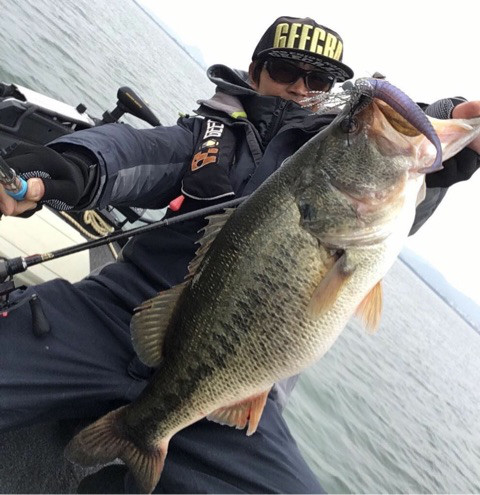 o0480049513896537961