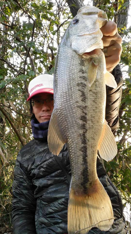 o0540096013894514341