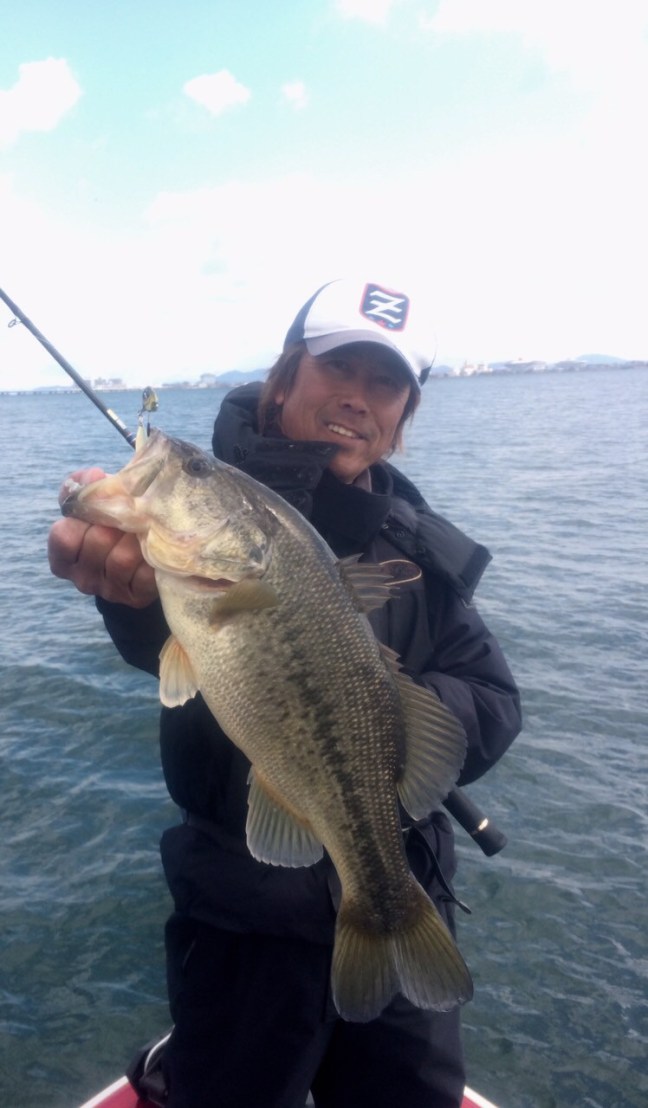 o0748128013884435254