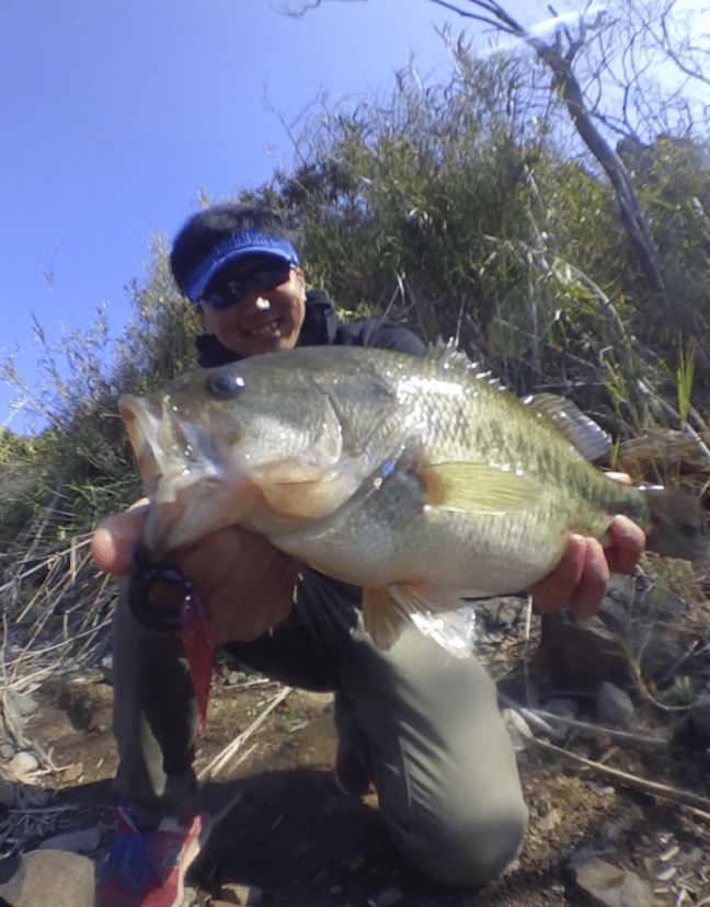 o0848108513880525145-1