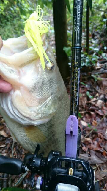 o0360064013918593537