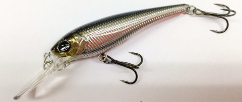 o0480020313906877053