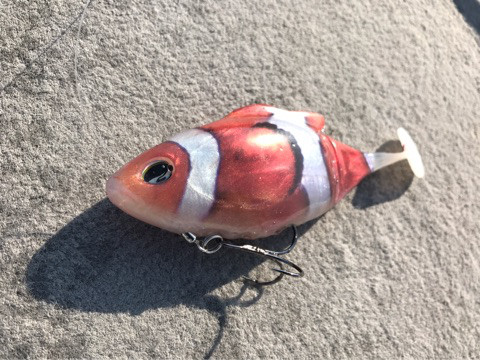 o0480036013905680275 (1)